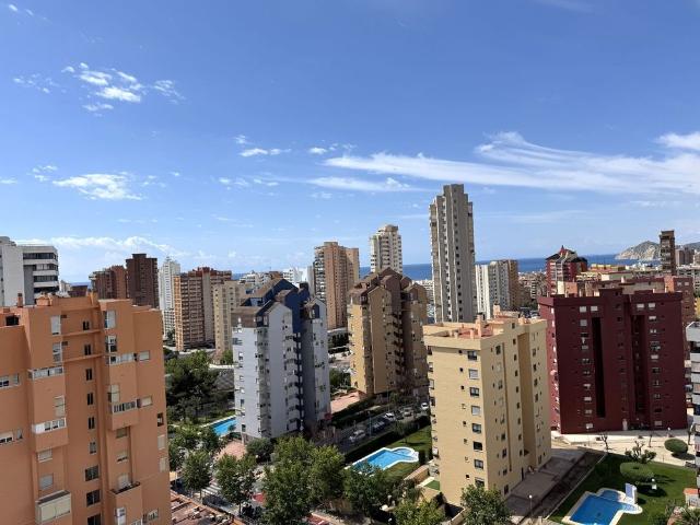 Apartamento en Benidorm, Juzgados, alquiler