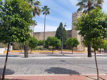 Apartamento en edificio con encanto en Jerez de la Frontera