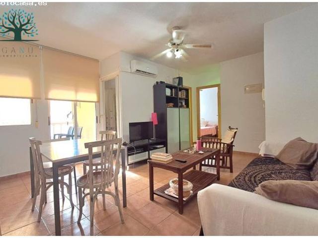APARTAMENTO EN EL CENTRO DE ISLA PLANA