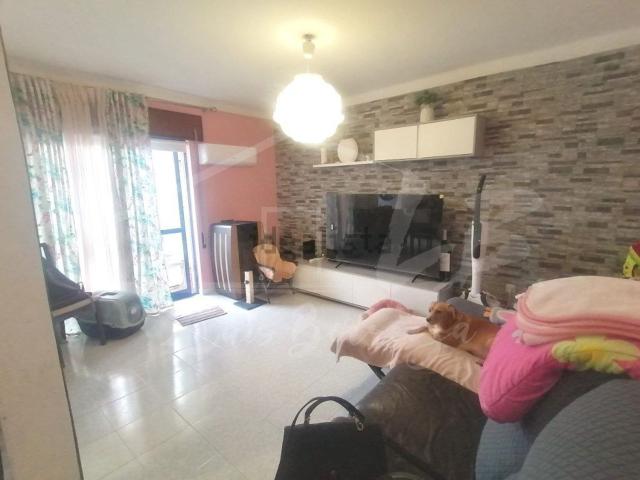 Apartamento, Grândola e Santa Margarida da Serra