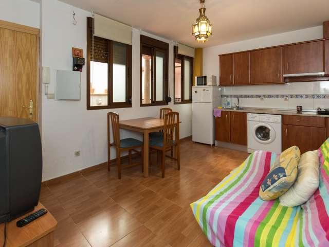 Apartamento íntimo de 1 dormitorio en alquiler en Centro