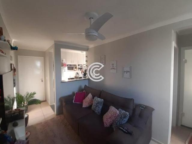 Apartamento, Jardim Nova Europa, Campinas, SP