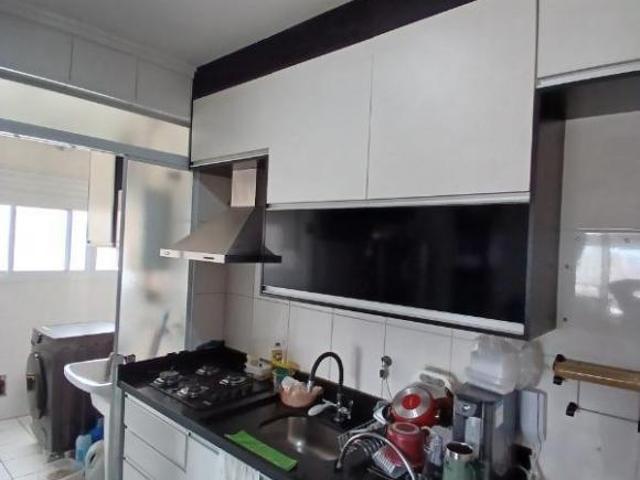 Apartamento, Jardim Piqueroby, São Paulo, SP