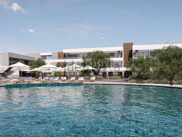 Apartamento, Lagoa e Carvoeiro