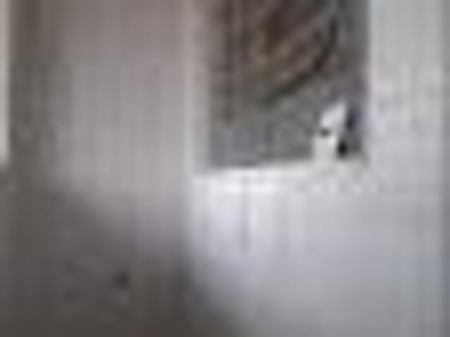 APARTAMENTO LAPA 1 DORMITÓRIOS