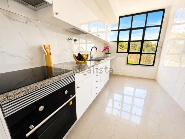 Apartamento, Laranjeiro e Feijó