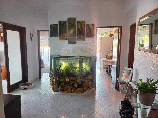 Apartamento, Laranjeiro e Feijó
