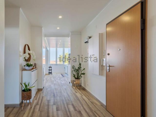 Apartamento, Laranjeiro e Feijó