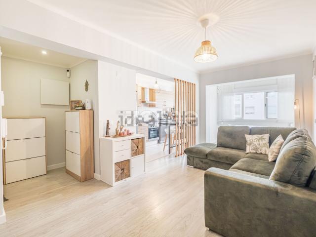 Apartamento, Laranjeiro e Feijó