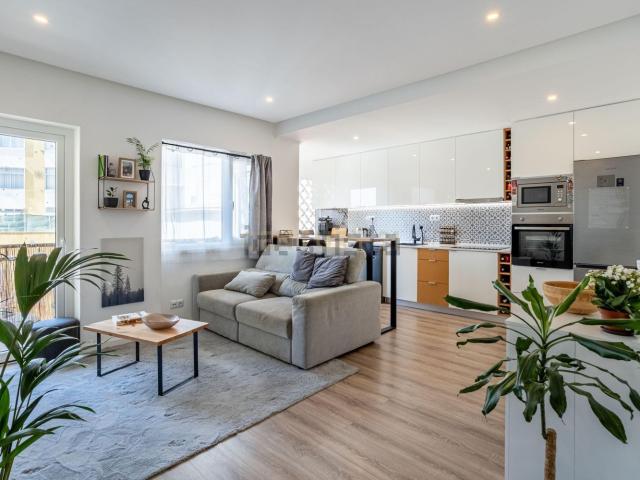 Apartamento, Laranjeiro e Feijó