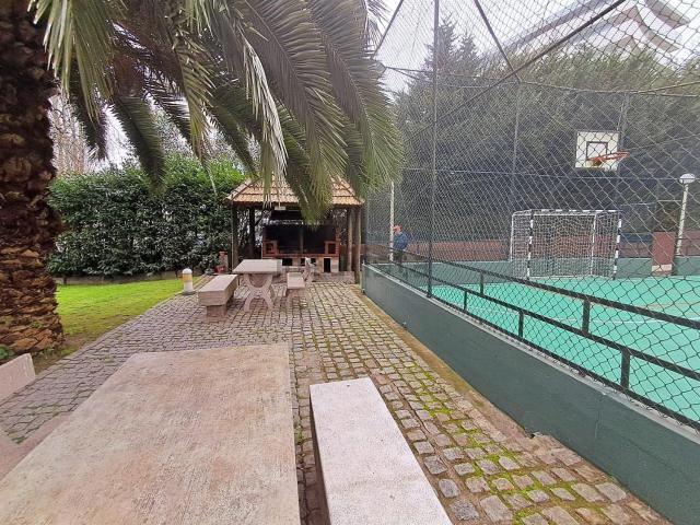 Apartamento, Lordelo do Ouro e Massarelos