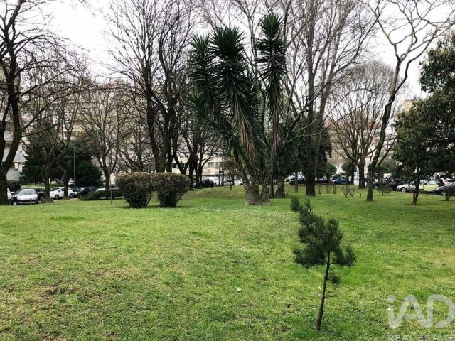 Apartamento, Lordelo do Ouro e Massarelos