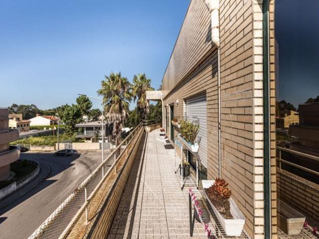 Apartamento, Madalena