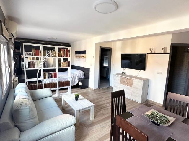 APARTAMENTO MADRID CENTRO