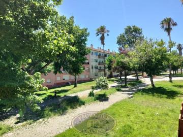 Apartamento, Montijo e Afonsoeiro