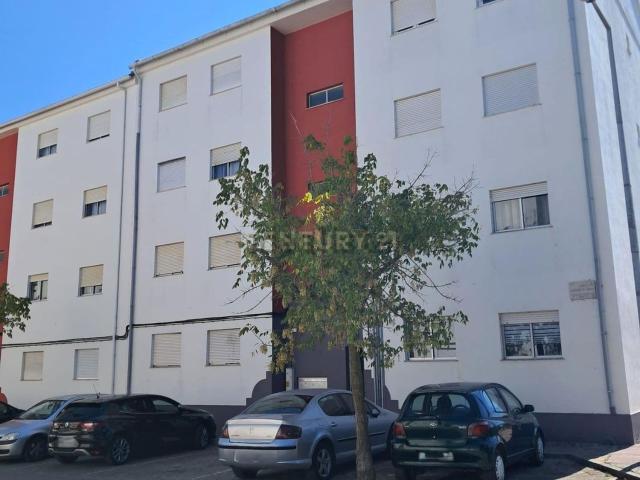 Apartamento, Montijo e Afonsoeiro