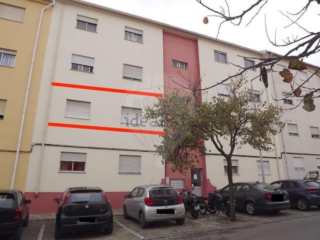 Apartamento, Montijo e Afonsoeiro