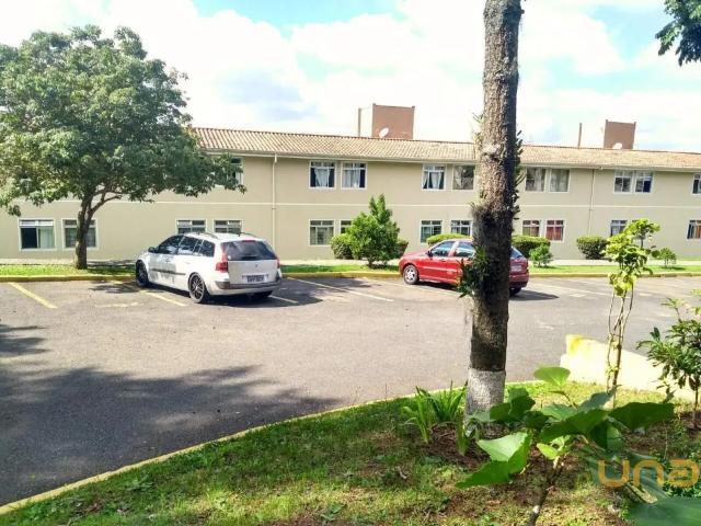 Apartamento no Uberaba de 58.65 m² com 3 quartos