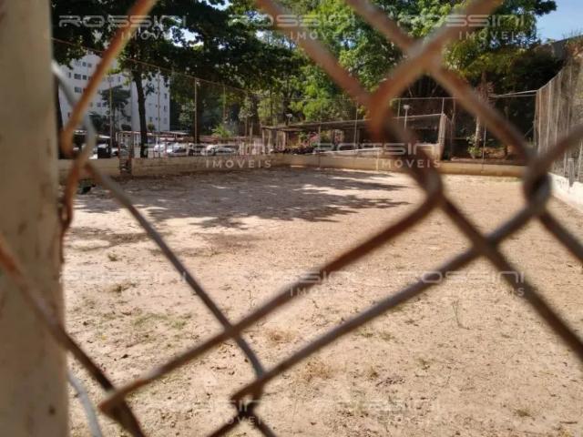Apartamento Padrão, Jardim Palma Travassos, Ribeirão Preto SP