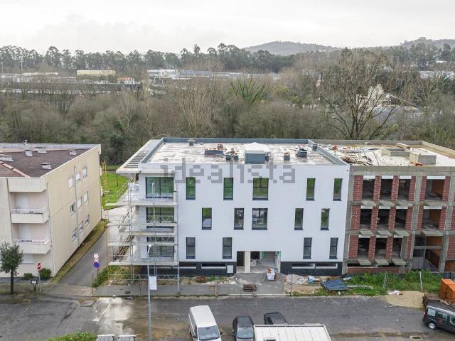 Apartamento, Palmeira