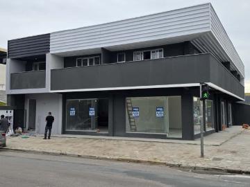 São Vicente, Itajaí, Itajaí, Balneário Piçarras