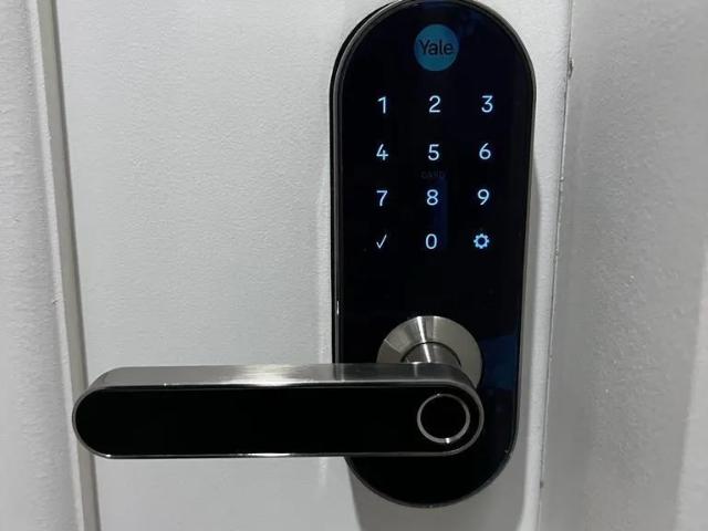 Apartamento Para Aluguel Em Passo Da Areia