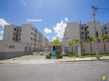 Apartamento para alugar