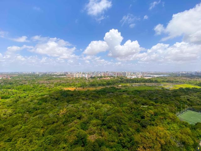 Apartamento para alugar
