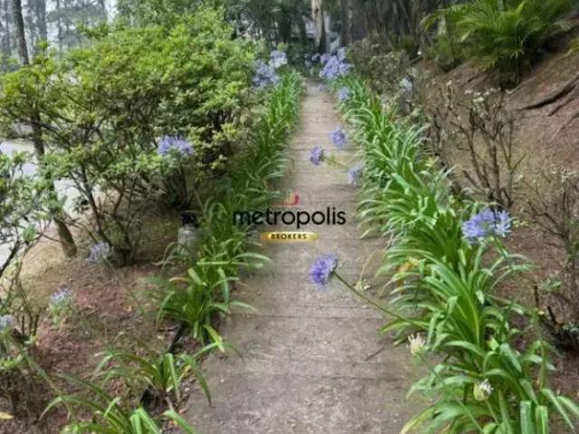Apartamento para alugar, 87 m² por R$ 4.187,78/mês Parque Terra Nova São Bernardo do Campo/SP