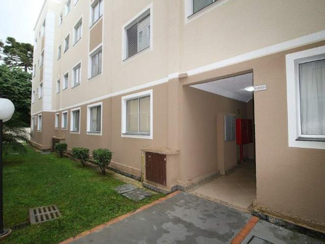 Apartamento para Alugar, Boneca do Iguaçu, São José dos Pinhais, 49m² área util, R$ 1.500 | PI: 3534873