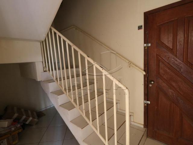 Apartamento para alugar com 1 Suíte + 1 Quarto em Jardim Santa Maria, Toledo PR
