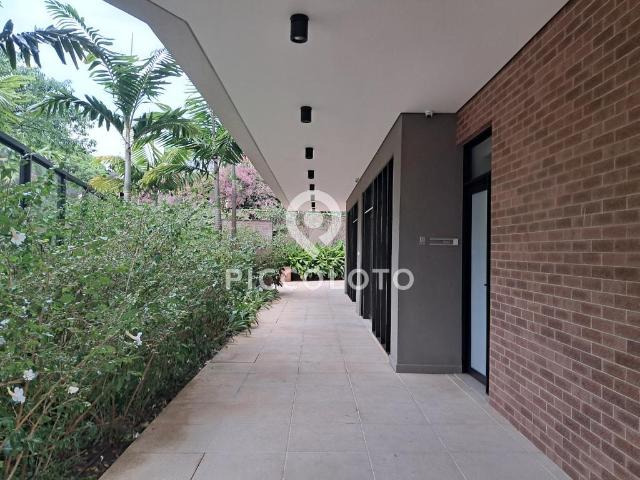 Apartamento para alugar em Campinas, Jardim das Paineiras, com 3 suítes, com 140 m²