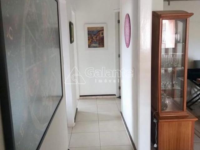 Apartamento para alugar no Bonfim em Campinas