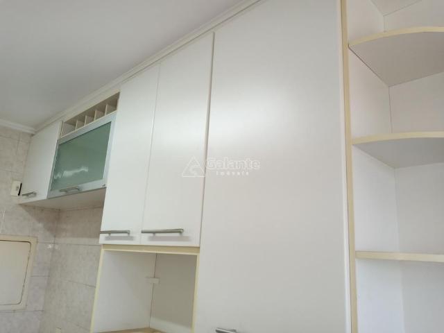Apartamento para alugar no Cambuí em Campinas