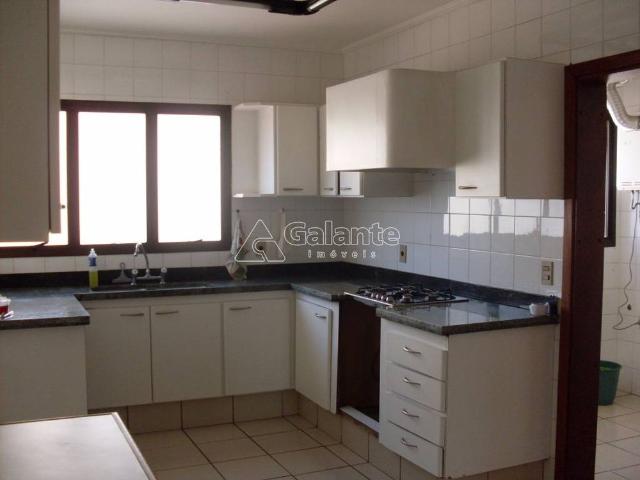 Apartamento para alugar no Cambuí em Campinas