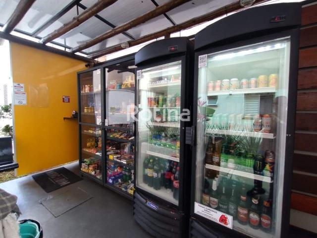 Apartamento para alugar, Panorama Uberlândia/MG