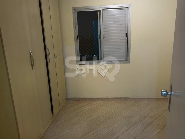 Apartamento para alugar Santa Teresinha