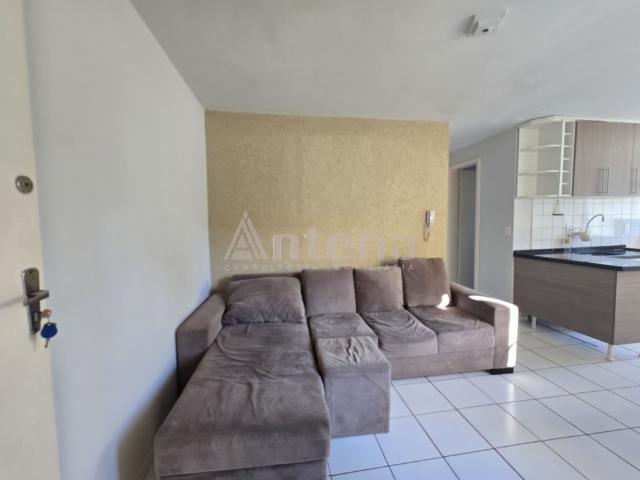 Apartamento para Alugar, Santo Antônio, São José dos Pinhais, 48.6m² área util, R$ 1.675 | PI: 3565644