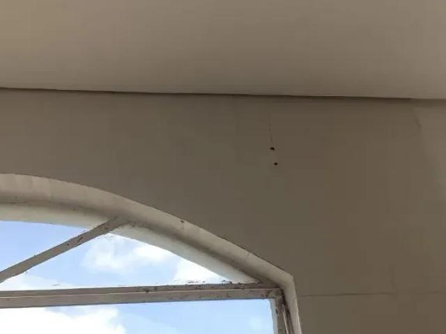 Apartamento para comprar Minascaixa Belo Horizonte