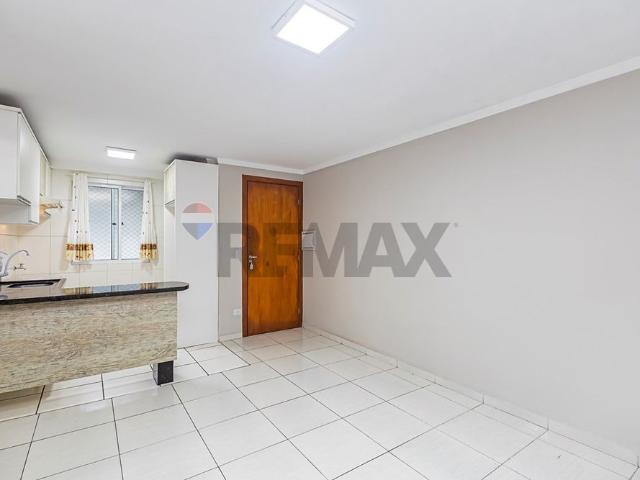 Apartamento para locação 02 dormitórios, 46m² Cachoeira