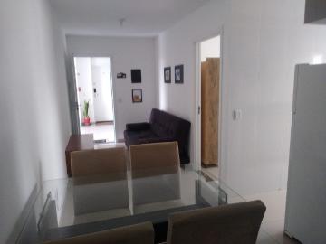 Apartamento para locação, Vila Guilhermina, São Paulo, SP