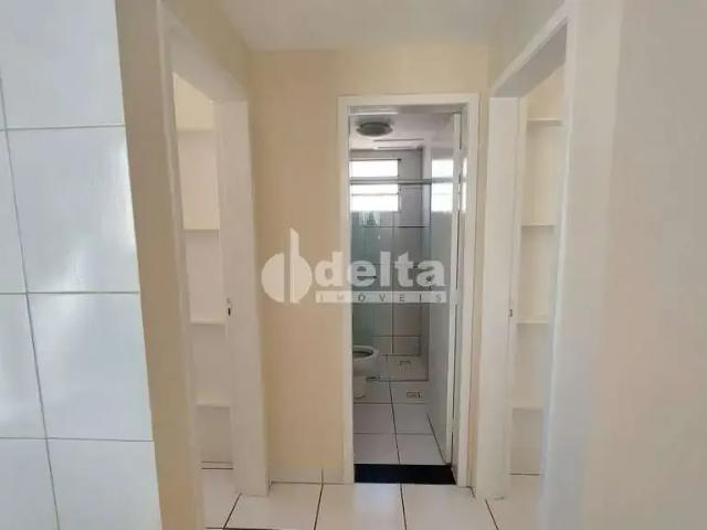 Apartamento para Locação em Uberlândia/MG Chácaras Tubalina e Quartel 2 Quartos