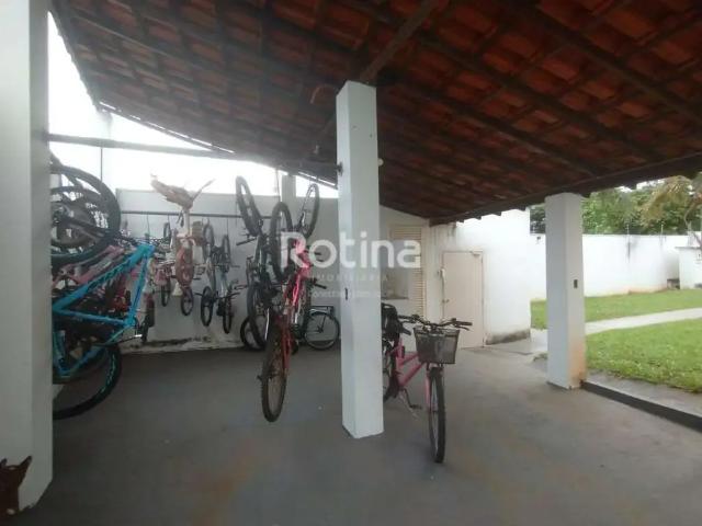 Apartamento para Locação em Uberlândia/MG Chácaras Tubalina e Quartel 2 Quartos