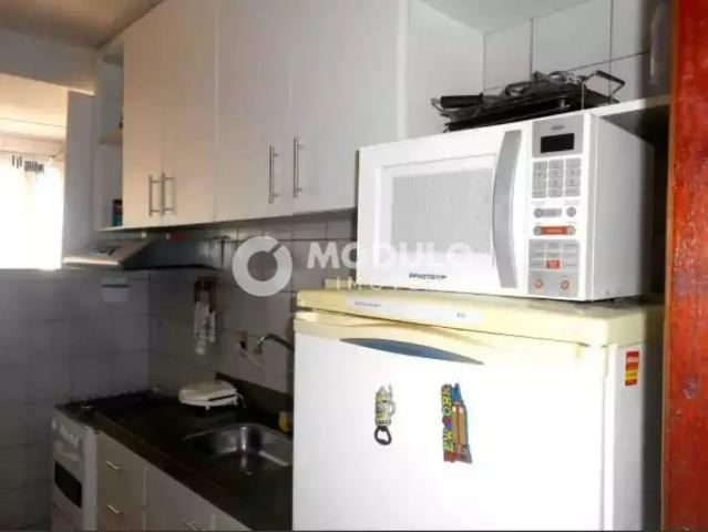 Apartamento para Locação em Uberlândia/MG Bom Jesus 1 Quartos