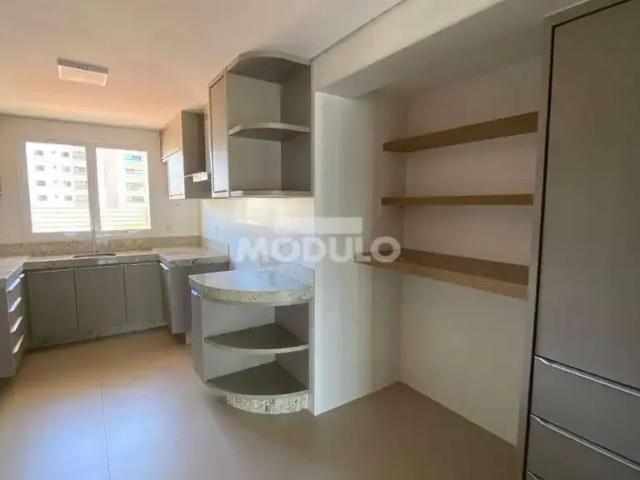 Apartamento para Locação em Uberlândia/MG Lidice 4 Quartos