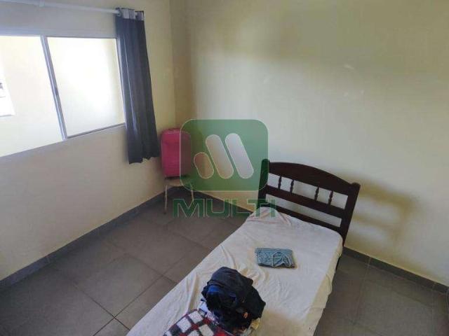 Apartamento para Locação em Uberlândia/MG São Jorge 3 Quartos