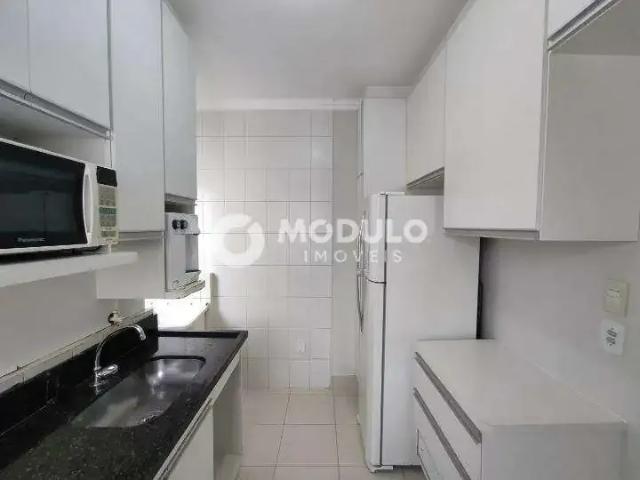 Apartamento para Locação em Uberlândia/MG Tubalina 3 Quartos