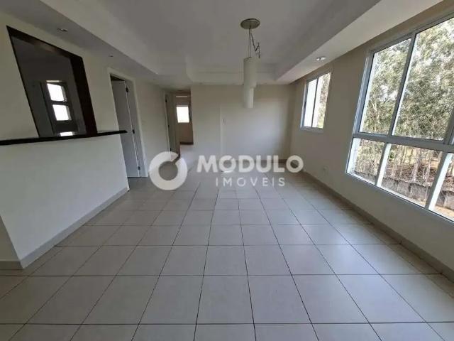 Apartamento para Locação em Uberlândia/MG Vigilato Pereira 4 Quartos