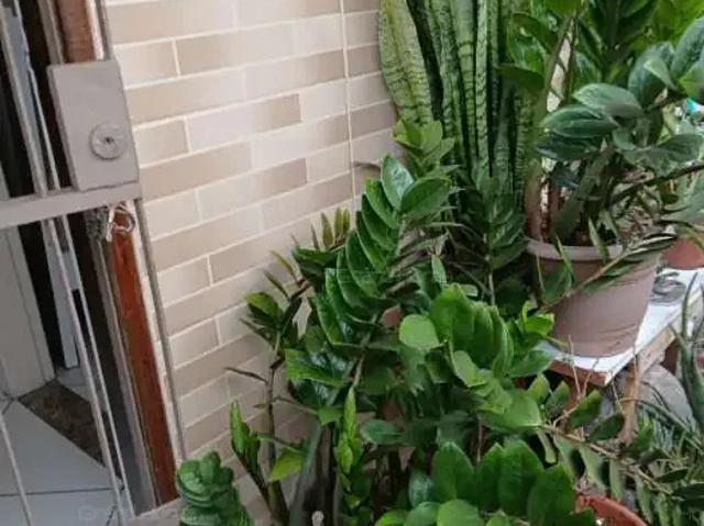 Apartamento para Locação em Vila Velha/ES Itapuã 2 Quartos