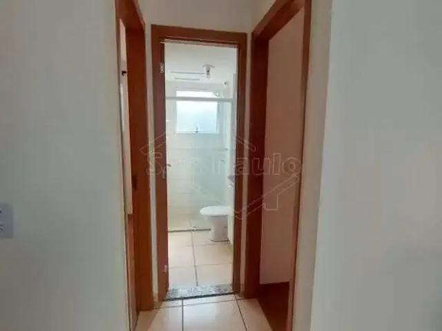 Apartamento para Locação em Araraquara/SP Jardim Universal 2 Quartos